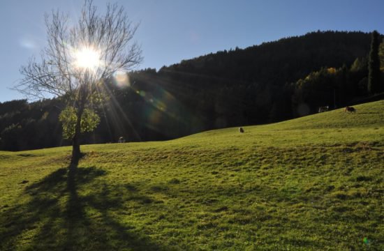 bergchalet-feichterhof-tils-brixen-02