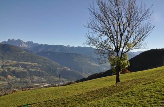 Bergchalet Feichterhof | Tils - Brixen