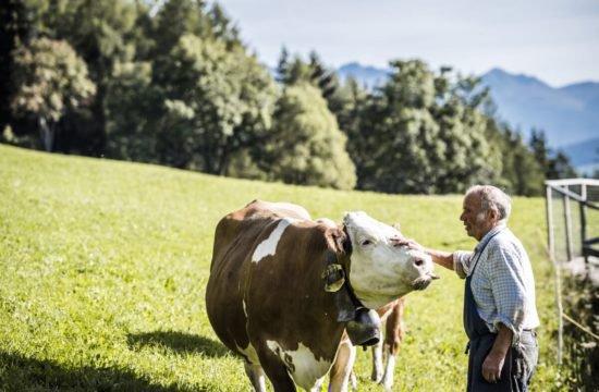 bergchalet-feichterhof-tils-brixen-13