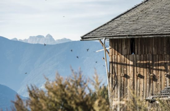 Bergchalet Feichterhof | Tils - Brixen