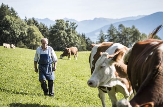 Bergchalet Feichterhof | Tils - Brixen