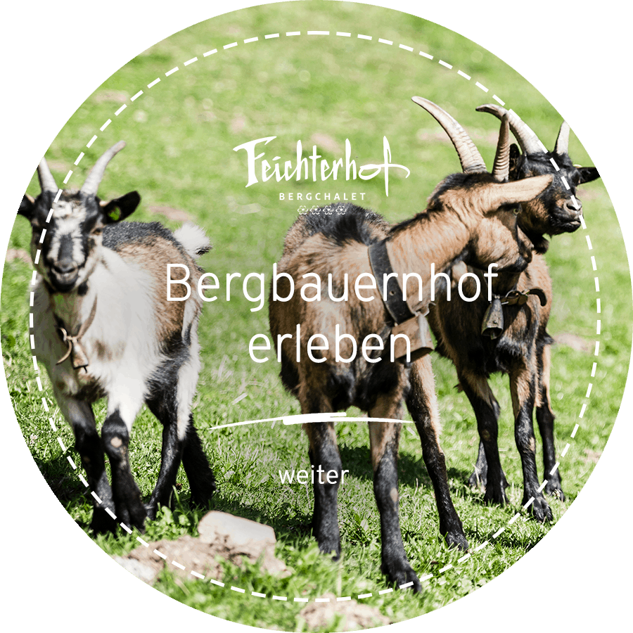 bfh bauernhofurlaub bauernhof erleben