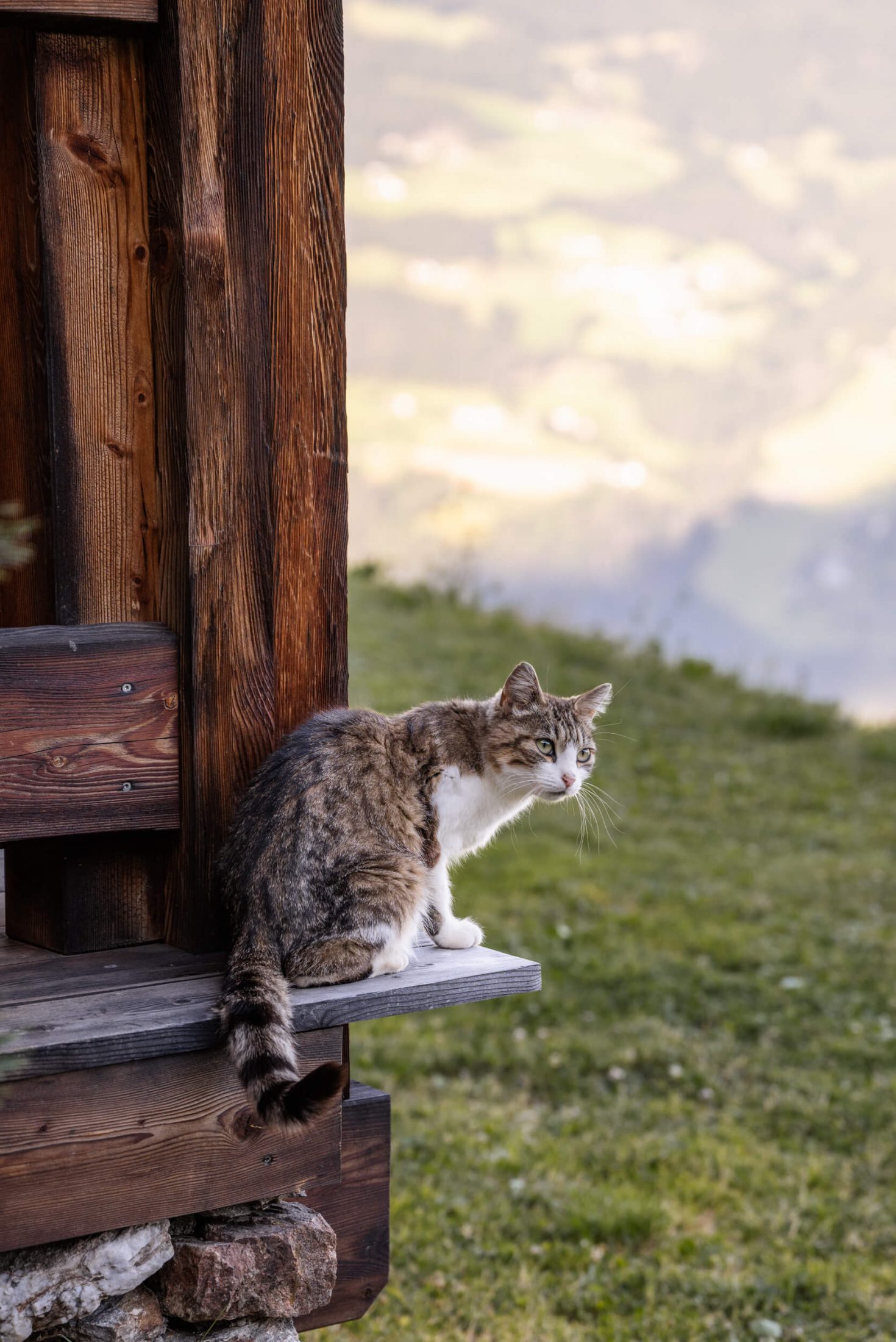 Feichterhof Chalets Südtirol2