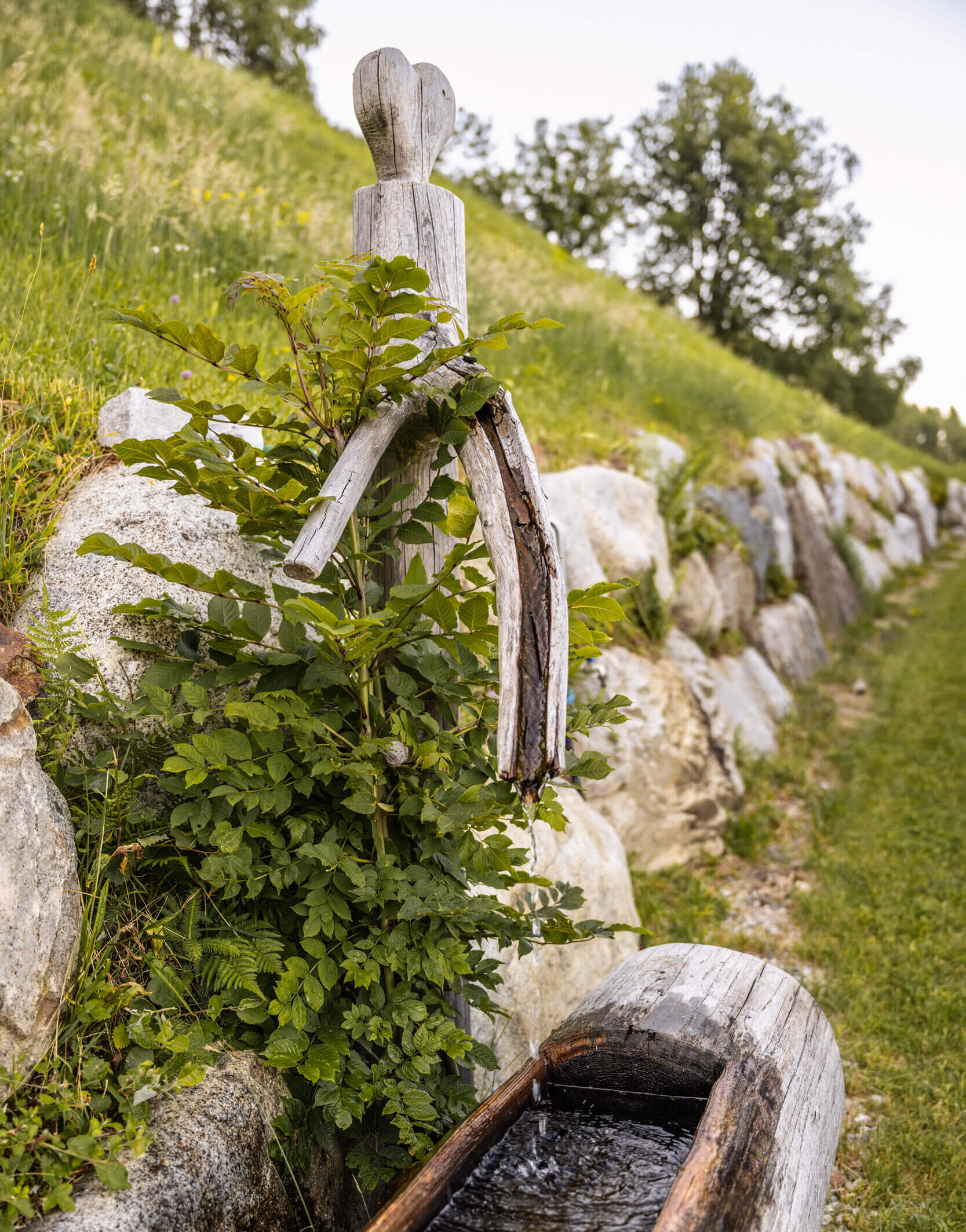 Feichterhof Wandern (1)