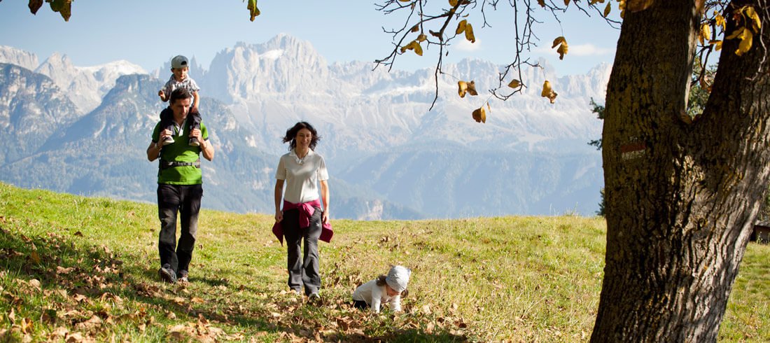 Herbstliches Wandern und Genießen rund um den Pfeffersberg