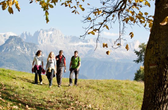 herbstlaub-wandern-suedtirol