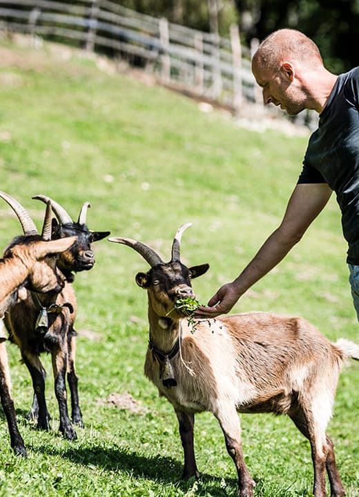 Kinder Familien Urlaub Feichterhof im Eisacktal Ferienparadies bei Brixen Streichelzoo